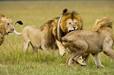 《孤岛危机》2和3复刻版 只有PC版本支持光追